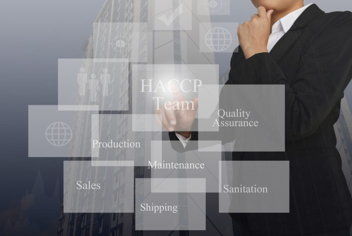 businesswoman-pointing-element-haccp-team
